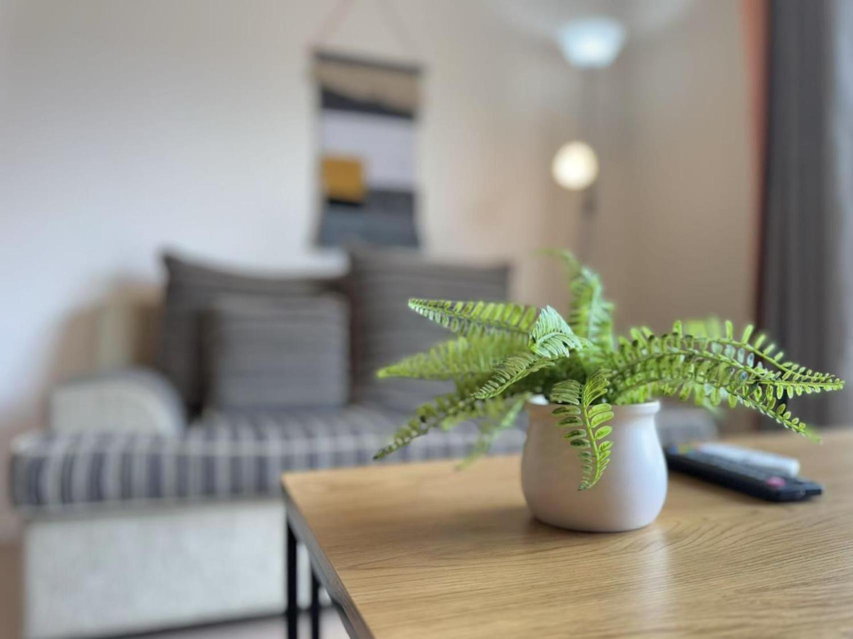 Modern Comfy 3 Bedrooms House In Chartwell 汉密尔顿 外观 照片